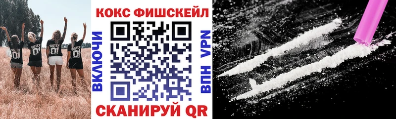 COCAIN Fish Scale  Сураж 
