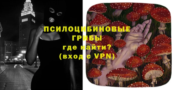 первитин Алексин