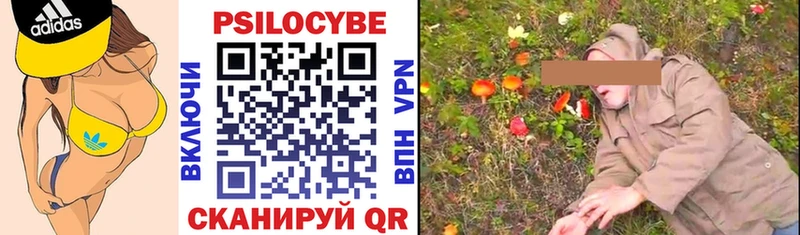 купить   Сураж  Галлюциногенные грибы MAGIC MUSHROOMS 